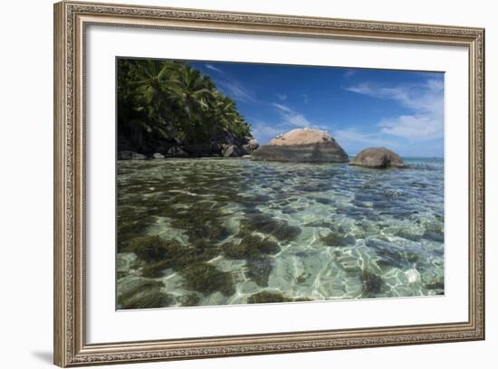 Indian Ocean, Seychelles, Mahe, St. Anne Marine NP, Moyenne Island-Cindy Miller Hopkins-Framed Photographic Print