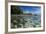 Indian Ocean, Seychelles, Mahe, St. Anne Marine NP, Moyenne Island-Cindy Miller Hopkins-Framed Photographic Print