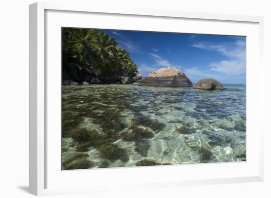 Indian Ocean, Seychelles, Mahe, St. Anne Marine NP, Moyenne Island-Cindy Miller Hopkins-Framed Photographic Print