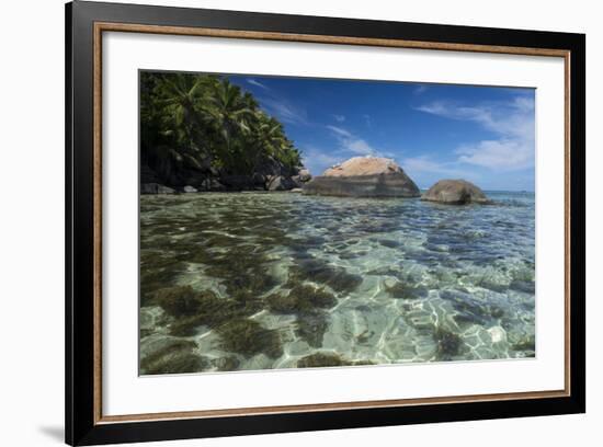 Indian Ocean, Seychelles, Mahe, St. Anne Marine NP, Moyenne Island-Cindy Miller Hopkins-Framed Photographic Print