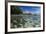 Indian Ocean, Seychelles, Mahe, St. Anne Marine NP, Moyenne Island-Cindy Miller Hopkins-Framed Photographic Print