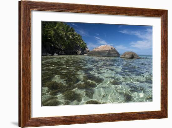 Indian Ocean, Seychelles, Mahe, St. Anne Marine NP, Moyenne Island-Cindy Miller Hopkins-Framed Photographic Print
