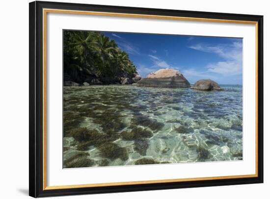 Indian Ocean, Seychelles, Mahe, St. Anne Marine NP, Moyenne Island-Cindy Miller Hopkins-Framed Photographic Print