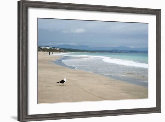 Indian Ocean Shoreline, Mosselbay, Garden Route, Western Cape, South Africa, Africa-Kim Walker-Framed Photographic Print