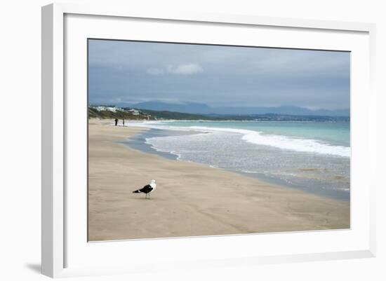 Indian Ocean Shoreline, Mosselbay, Garden Route, Western Cape, South Africa, Africa-Kim Walker-Framed Photographic Print