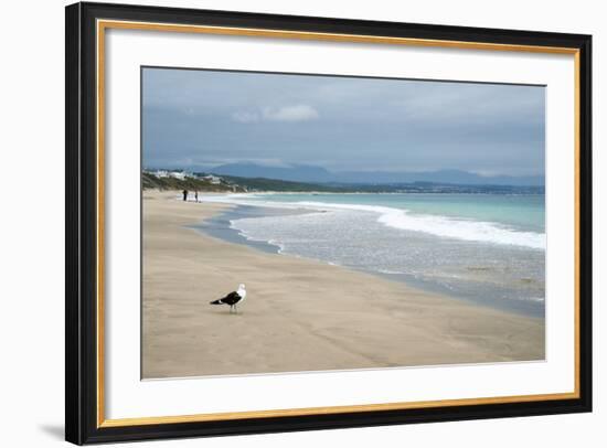 Indian Ocean Shoreline, Mosselbay, Garden Route, Western Cape, South Africa, Africa-Kim Walker-Framed Photographic Print