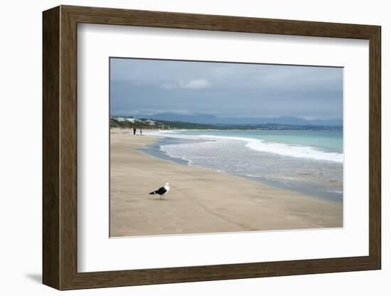 Indian Ocean Shoreline, Mosselbay, Garden Route, Western Cape, South Africa, Africa-Kim Walker-Framed Photographic Print