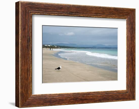 Indian Ocean Shoreline, Mosselbay, Garden Route, Western Cape, South Africa, Africa-Kim Walker-Framed Photographic Print