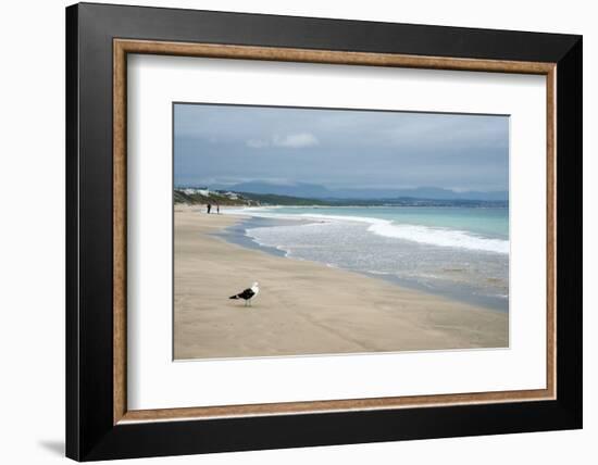 Indian Ocean Shoreline, Mosselbay, Garden Route, Western Cape, South Africa, Africa-Kim Walker-Framed Photographic Print