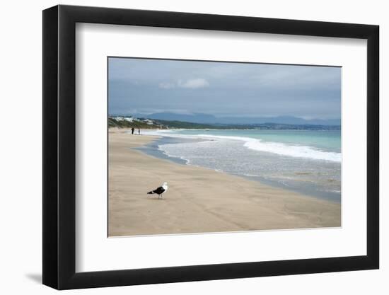 Indian Ocean Shoreline, Mosselbay, Garden Route, Western Cape, South Africa, Africa-Kim Walker-Framed Photographic Print