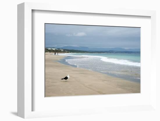 Indian Ocean Shoreline, Mosselbay, Garden Route, Western Cape, South Africa, Africa-Kim Walker-Framed Photographic Print