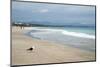 Indian Ocean Shoreline, Mosselbay, Garden Route, Western Cape, South Africa, Africa-Kim Walker-Mounted Photographic Print