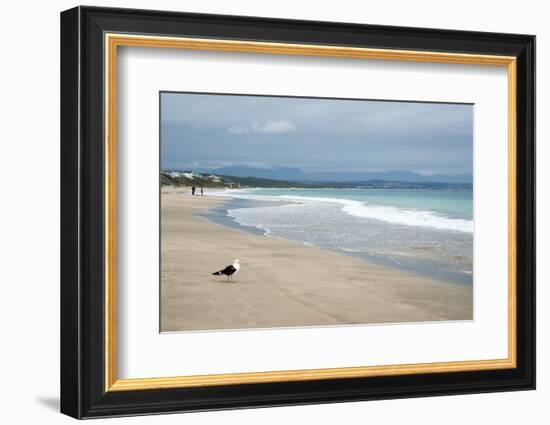 Indian Ocean Shoreline, Mosselbay, Garden Route, Western Cape, South Africa, Africa-Kim Walker-Framed Photographic Print