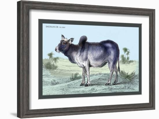 Indian Ox-John Stewart-Framed Art Print