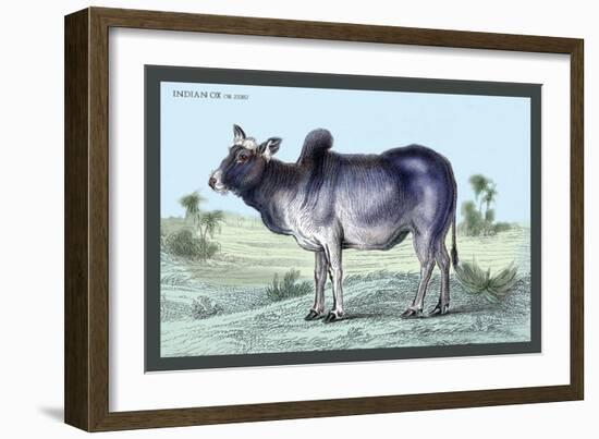 Indian Ox-John Stewart-Framed Art Print