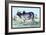 Indian Ox-John Stewart-Framed Art Print