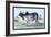 Indian Ox-John Stewart-Framed Art Print