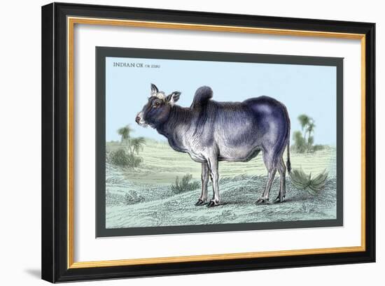 Indian Ox-John Stewart-Framed Art Print