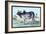 Indian Ox-John Stewart-Framed Art Print