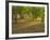 Indian Paint Brush and Young Trees, Devine Area, Texas, USA-Darrell Gulin-Framed Photographic Print