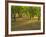 Indian Paint Brush and Young Trees, Devine Area, Texas, USA-Darrell Gulin-Framed Photographic Print