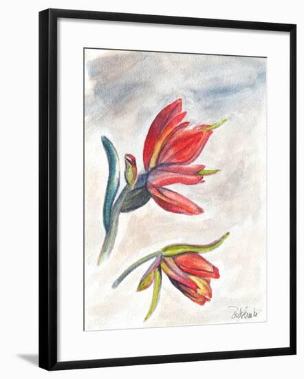 Indian Paint Brush-Jennifer Redstreake Geary-Framed Art Print