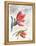 Indian Paint Brush-Jennifer Redstreake Geary-Framed Stretched Canvas