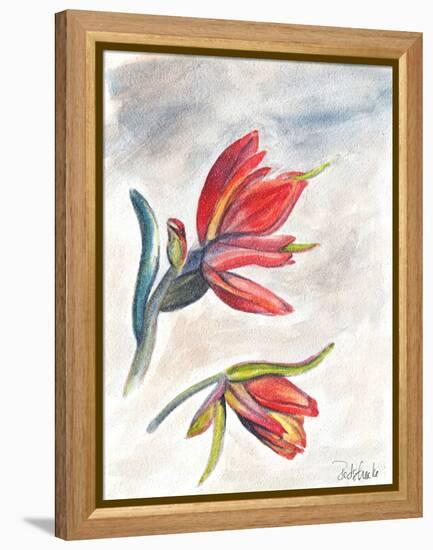 Indian Paint Brush-Jennifer Redstreake Geary-Framed Stretched Canvas