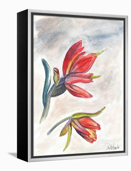 Indian Paint Brush-Jennifer Redstreake Geary-Framed Stretched Canvas