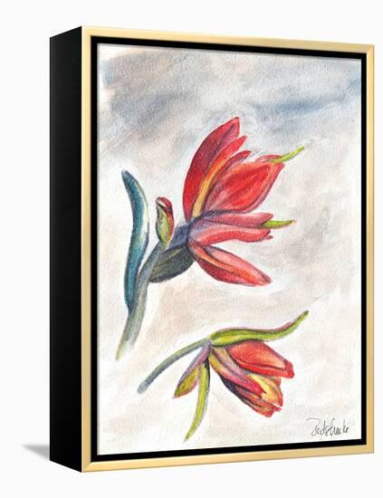 Indian Paint Brush-Jennifer Redstreake Geary-Framed Stretched Canvas