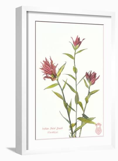 Indian Paint Brush-null-Framed Premium Giclee Print