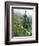 Indian Paintbrush and Cow Parsnip, Olympic National Park, Washington, USA-Adam Jones-Framed Photographic Print