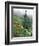 Indian Paintbrush and Cow Parsnip, Olympic National Park, Washington, USA-Adam Jones-Framed Photographic Print