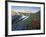 Indian Paintbrush and Lupine, Olympic National Park, Washington, USA-Gary Luhm-Framed Photographic Print