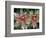 Indian Paintbrush, Banff National Park, Alberta, Canada-Rob Tilley-Framed Photographic Print