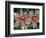 Indian Paintbrush, Banff National Park, Alberta, Canada-Rob Tilley-Framed Photographic Print