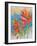 Indian Paintbrush Collage II-Elizabeth St. Hilaire-Framed Art Print