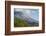 Indian paintbrush, Mount St. Helens National Volcanic Monument, WA.-Michel Hersen-Framed Photographic Print