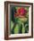 Indian Paintbrush-Chuck Haney-Framed Photographic Print