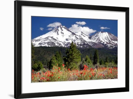 Indian Paintbrush-Douglas Taylor-Framed Photographic Print