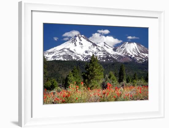 Indian Paintbrush-Douglas Taylor-Framed Photographic Print