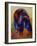 Indian Paintbrush-Marion Rose-Framed Giclee Print
