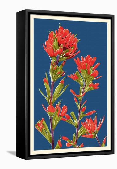 Indian Paintbrush-Lantern Press-Framed Stretched Canvas