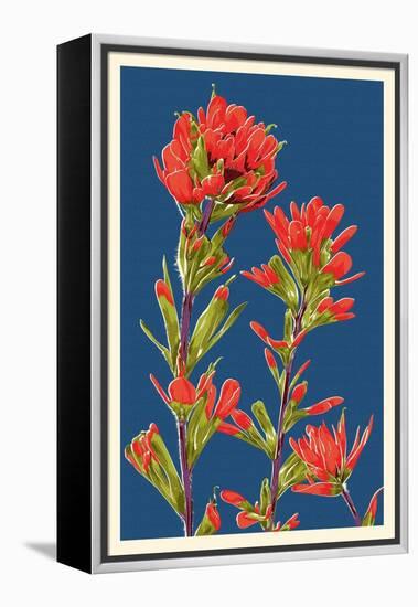 Indian Paintbrush-Lantern Press-Framed Stretched Canvas