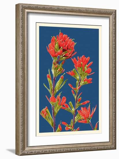 Indian Paintbrush-Lantern Press-Framed Premium Giclee Print