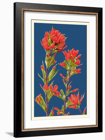 Indian Paintbrush-Lantern Press-Framed Premium Giclee Print