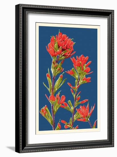 Indian Paintbrush-Lantern Press-Framed Premium Giclee Print