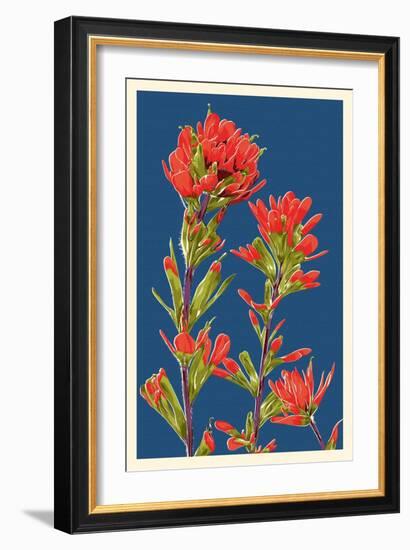 Indian Paintbrush-Lantern Press-Framed Premium Giclee Print