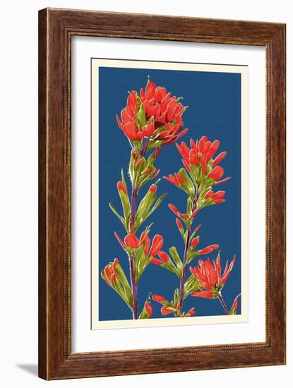 Indian Paintbrush-Lantern Press-Framed Art Print