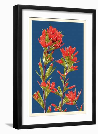 Indian Paintbrush-Lantern Press-Framed Art Print